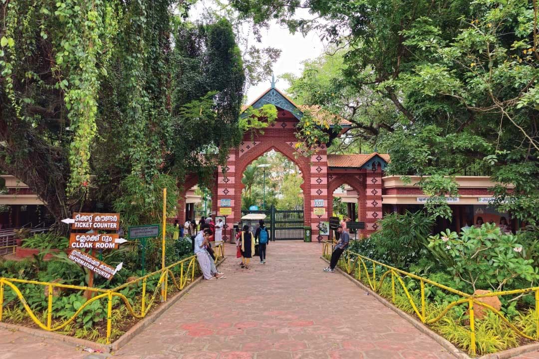 Thiruvananthapuram Zoo (Trivandrum Zoo)
